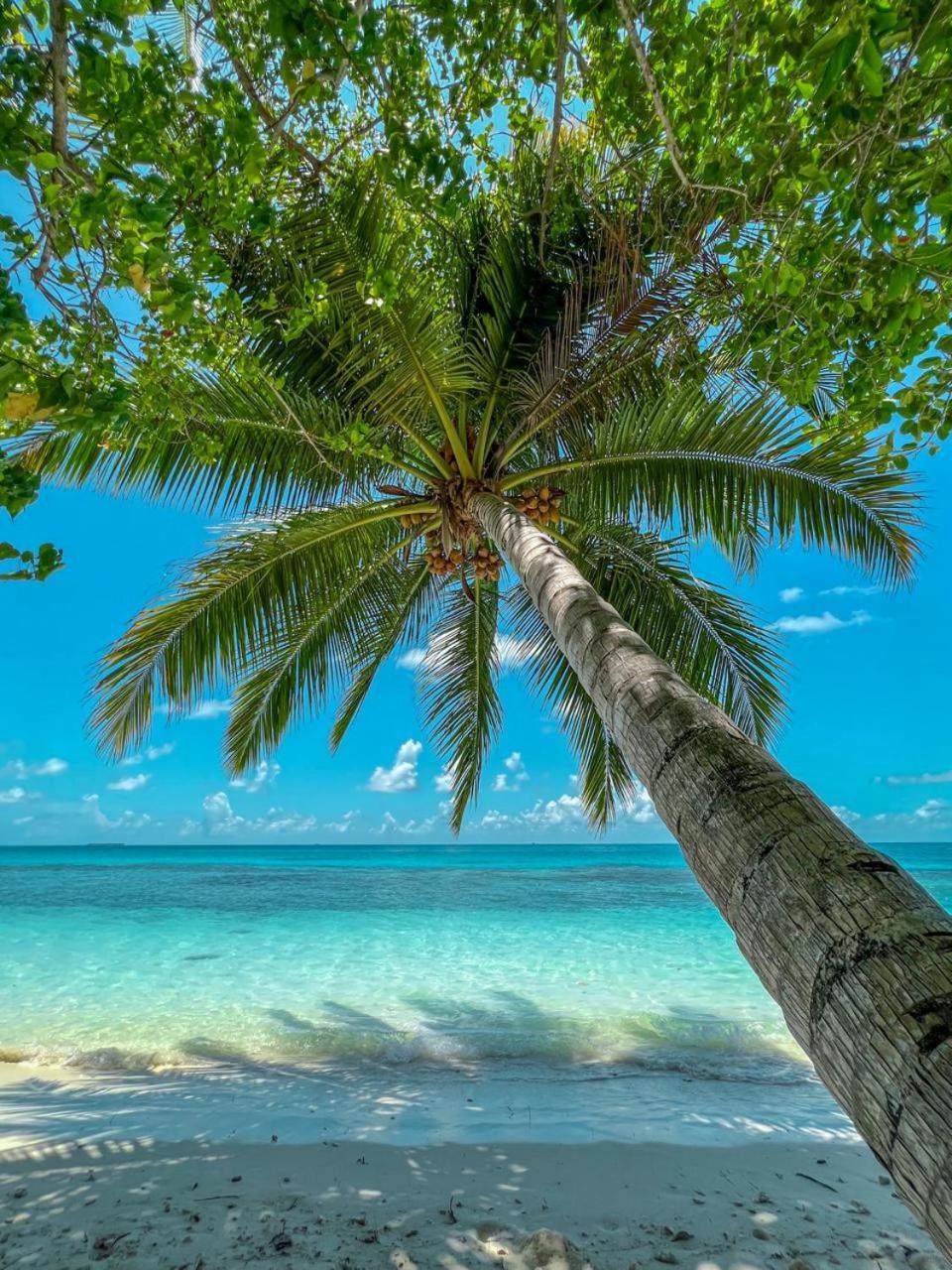 Infinite Lagoon Mandhoo Dış mekan fotoğraf